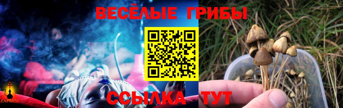 Галлюциногенные грибы MAGIC MUSHROOMS Южноуральск